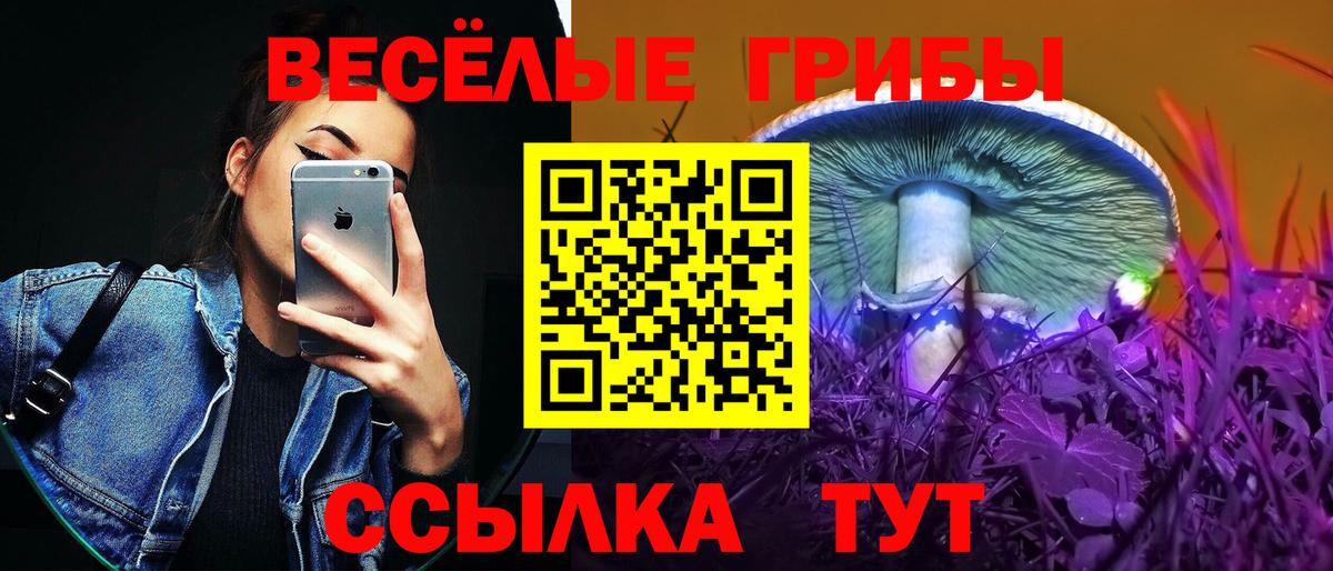 Псилоцибиновые грибы прущие грибы Юрга