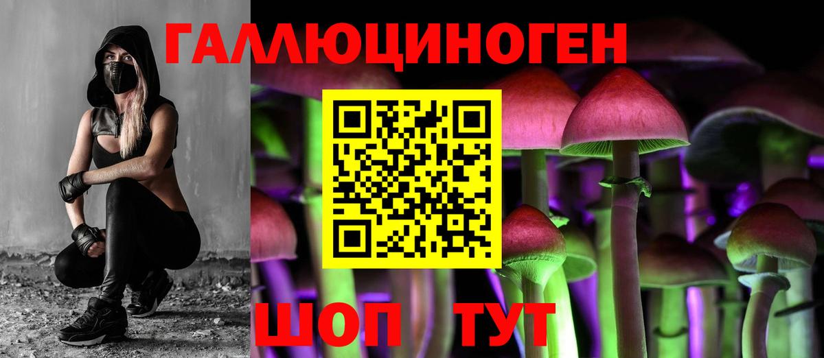 Юрга  Галлюциногенные грибы GOLDEN TEACHER  Вход с VPN 